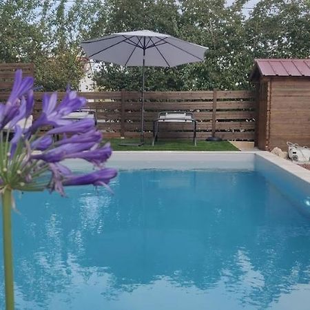 Cadalen Domaine De La Vigne B&B 외부 사진