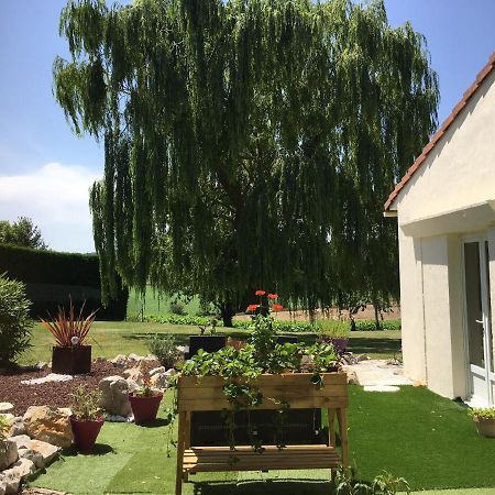Cadalen Domaine De La Vigne B&B 외부 사진