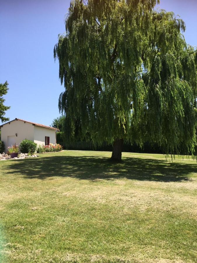 Cadalen Domaine De La Vigne B&B 외부 사진