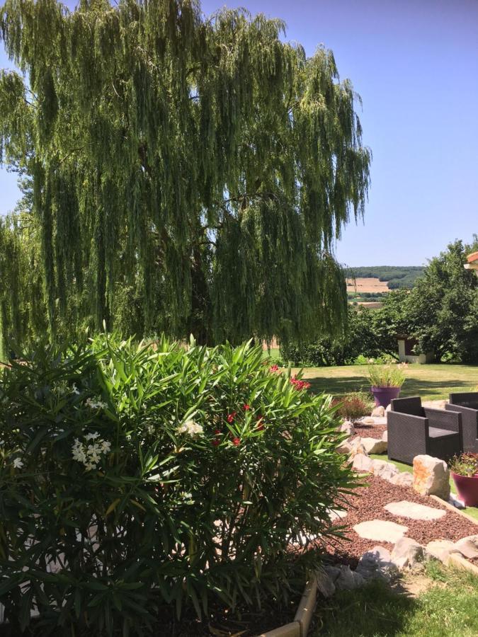 Cadalen Domaine De La Vigne B&B 외부 사진