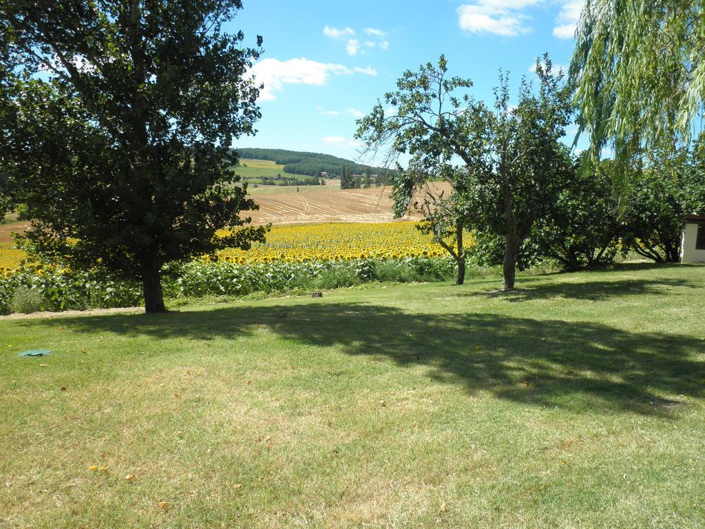 Cadalen Domaine De La Vigne B&B 외부 사진