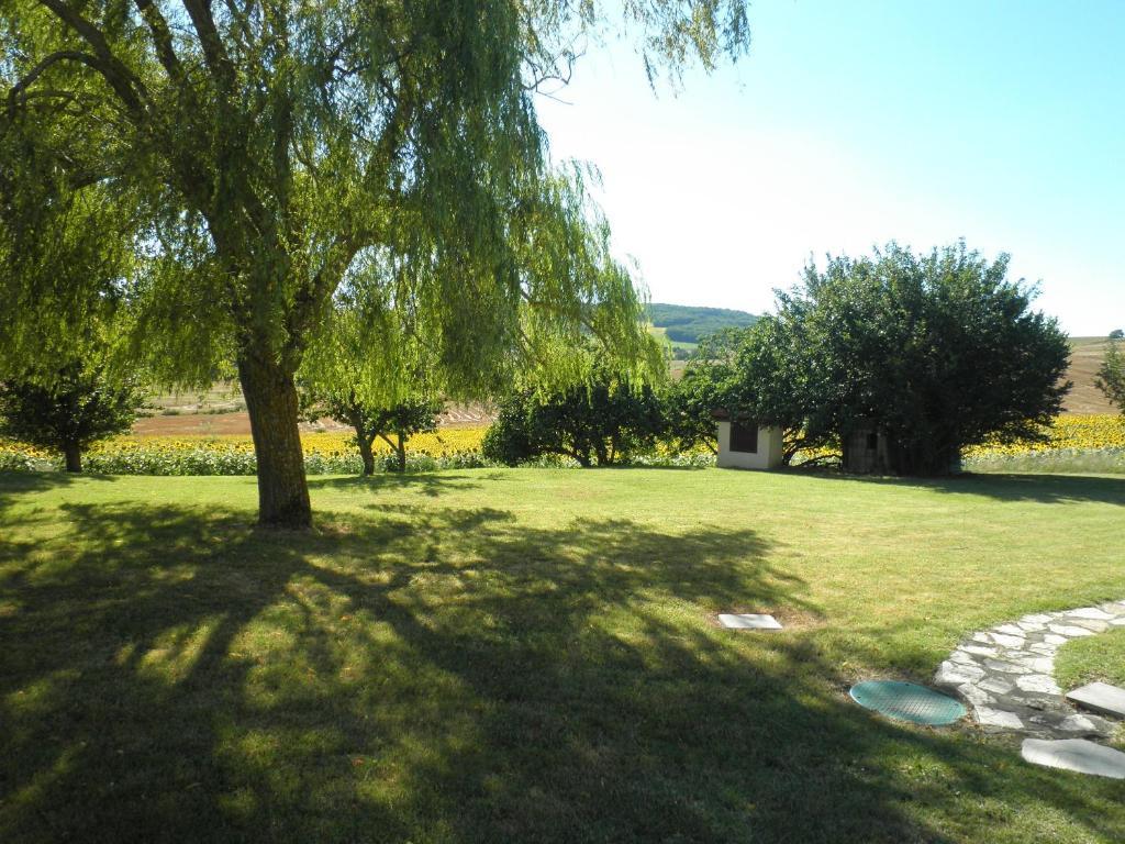 Cadalen Domaine De La Vigne B&B 외부 사진